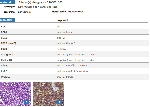 297regin1.png
