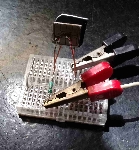 38620201128_100758.jpg