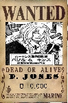 869one_piece_wanted_poste.png