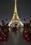877IMG_2560.jpeg