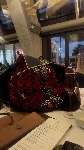 889IMG_2558.jpeg