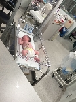 989IMG_2534.jpeg